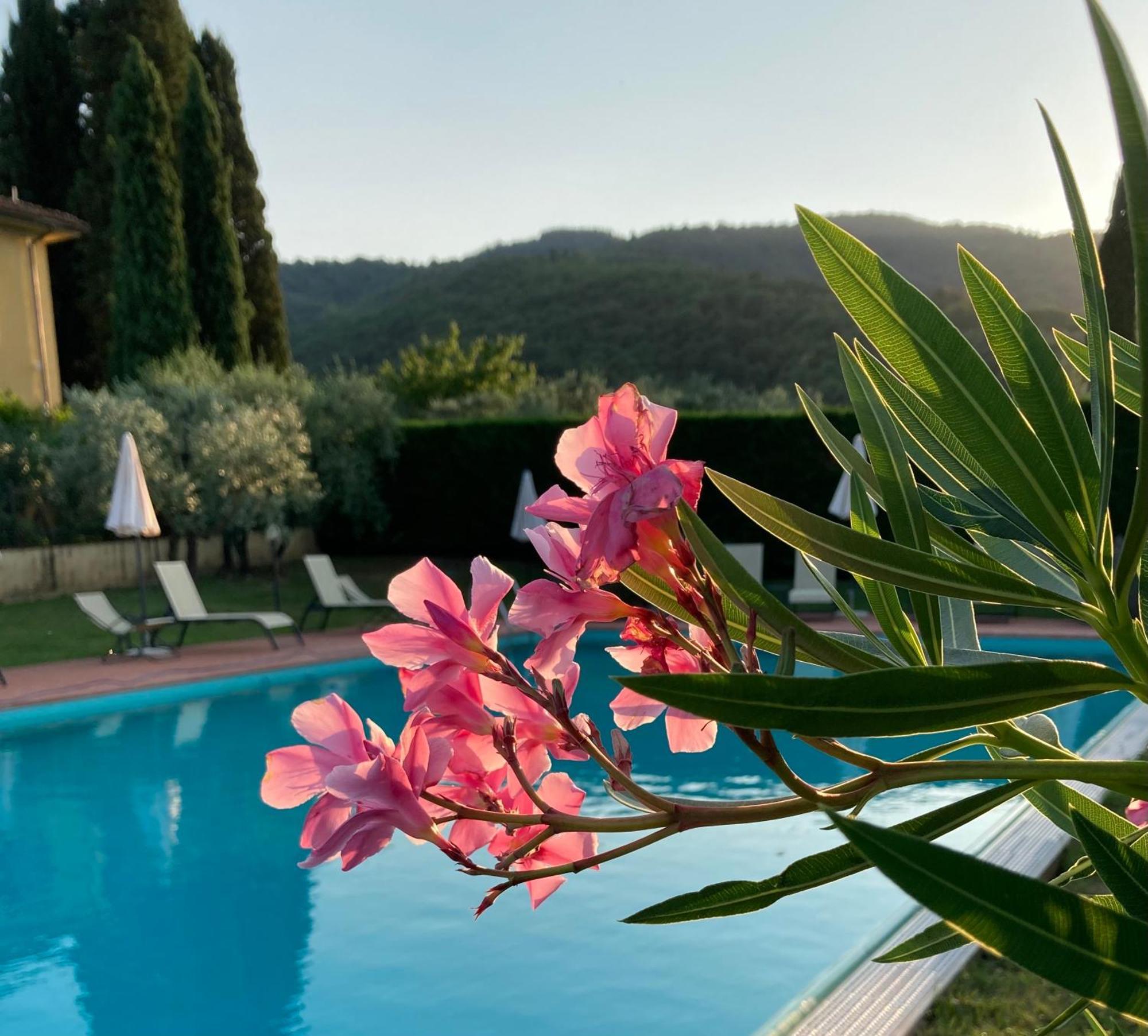 Podere San Giusto Figline Valdarno Εξωτερικό φωτογραφία