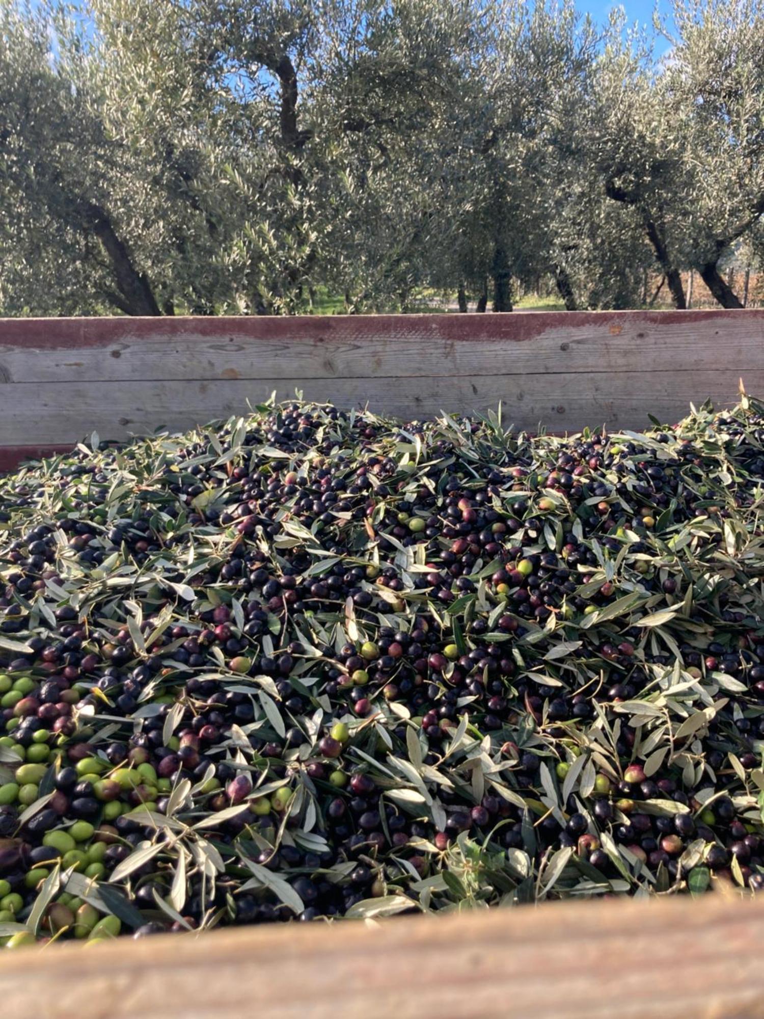 Podere San Giusto Figline Valdarno Εξωτερικό φωτογραφία